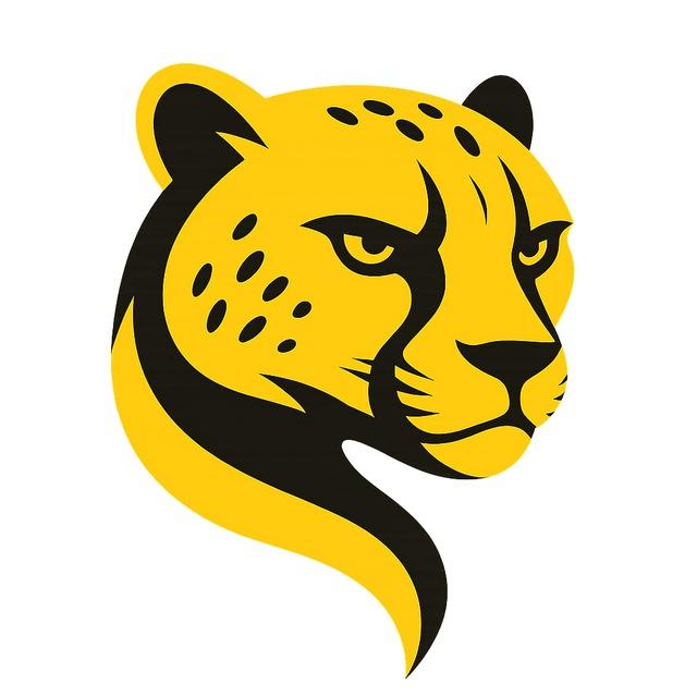 Cheetah Tool Pro Activation 6 Month 